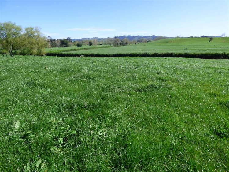 336 Grove Road Te Pahu_4