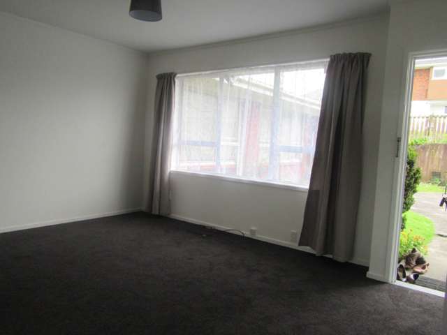 3/164 White Swan Road Mount Roskill_3