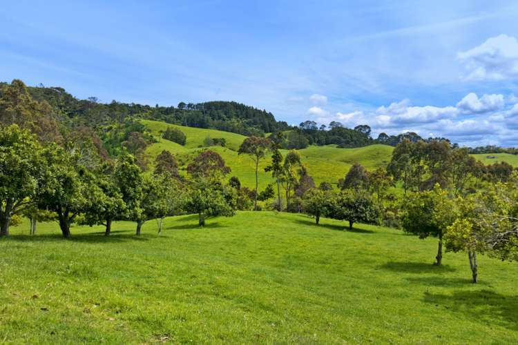 214 Hunter Road Taupaki_16