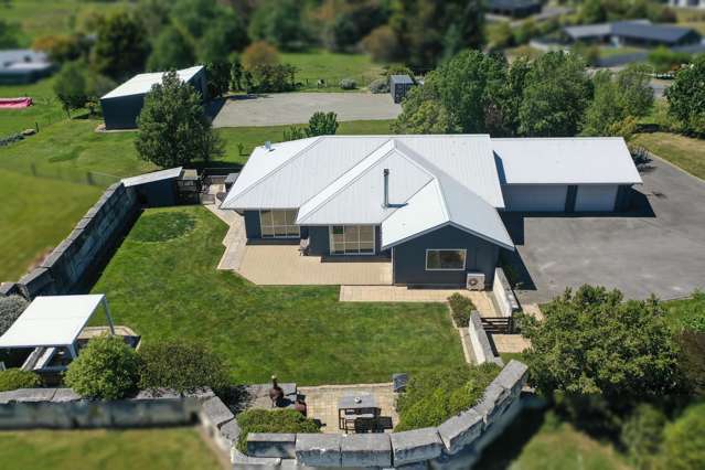 AUCTION, AUCTION, AUCTION