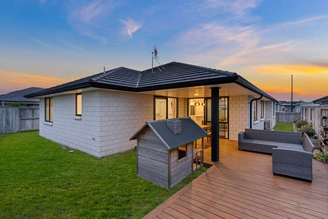 59 Harding Drive Papamoa_2