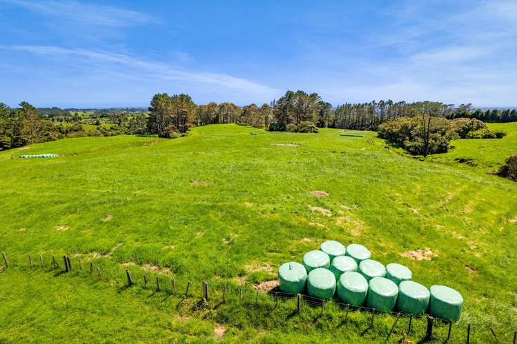 1627 Mangorei Road Korito_11