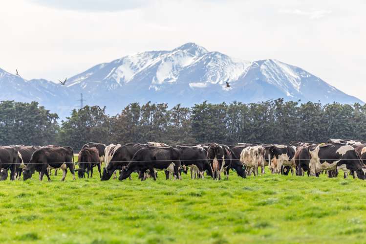 107a-E Mouse Point Road Culverden_10