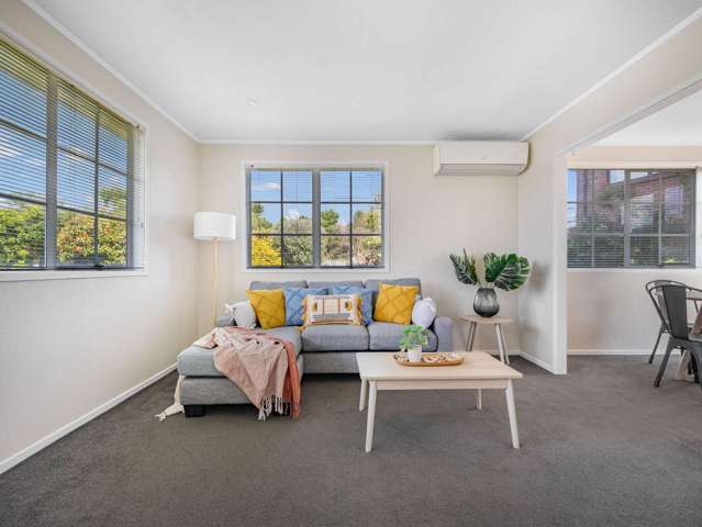 462 Pukehangi Road Westbrook_3