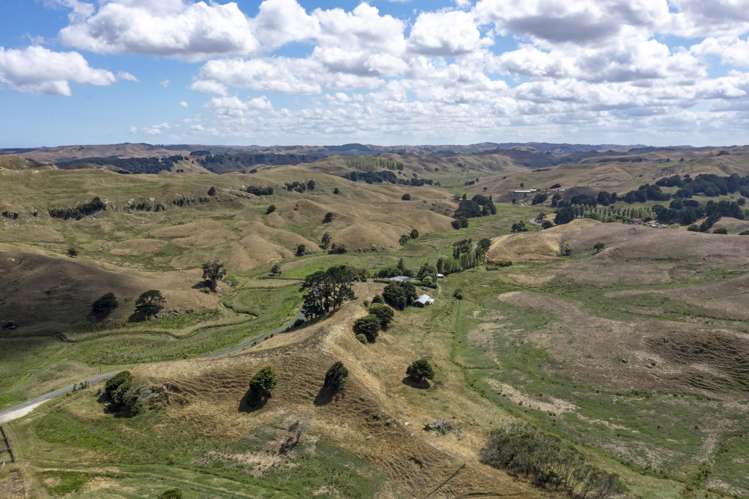 1075 Te Akau Road Te Akau_9