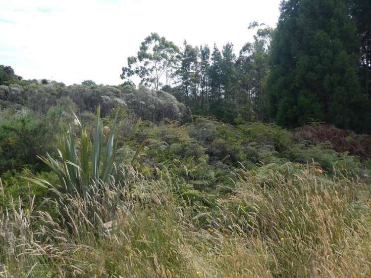 Keogans Road Hokitika_9