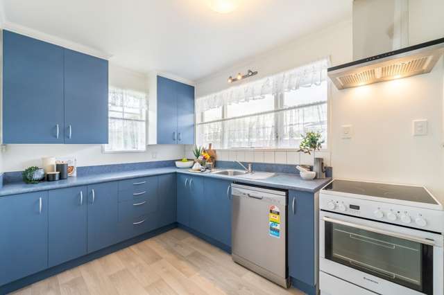 44 Epuni Street 10609_1