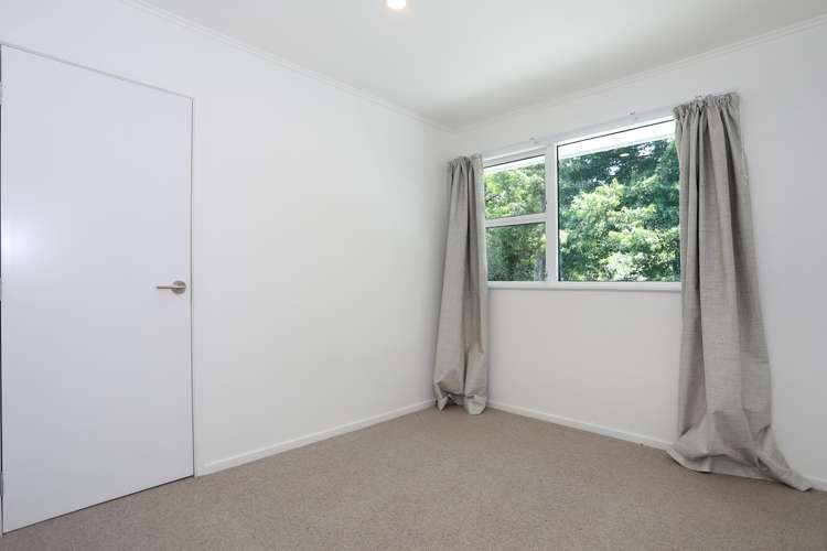 15 High Street Bulls_11