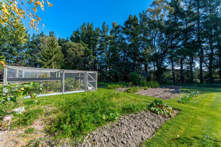 193 Hadlow Road Claremont_11