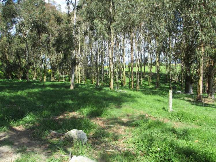 237 Rattrays Road Makikihi_14