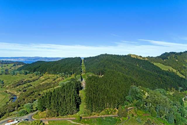 Riverside Road Matokitoki_2