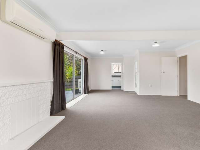 3 Conway Street Levin_4