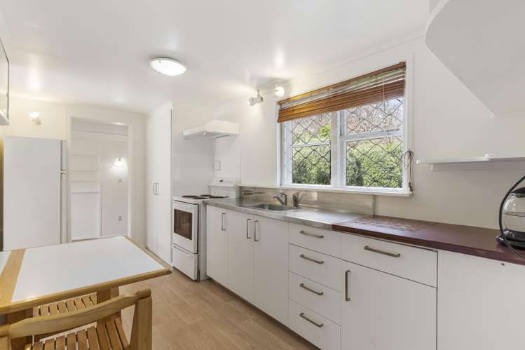 22 Larsen Road Panmure_24