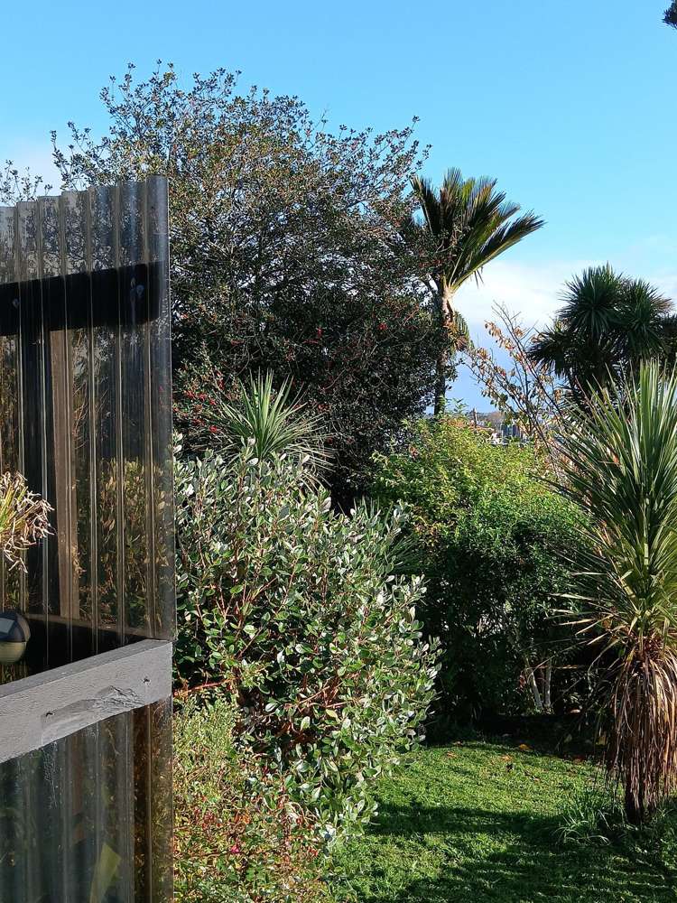 2 Alexander Terrace Greymouth_10