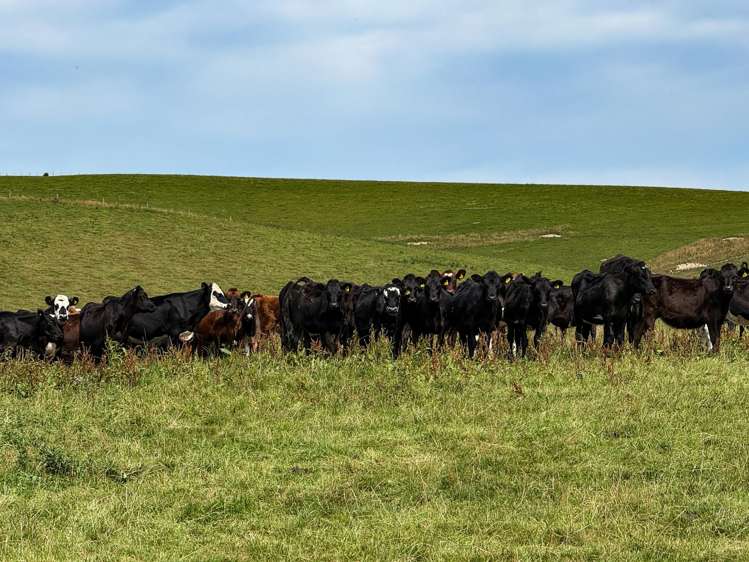 175 Stirling Road Waikaia_4