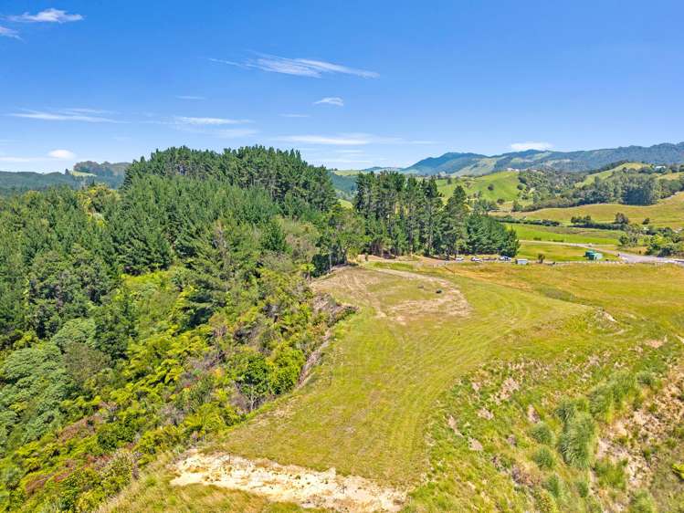 9 Kāhu Lane Awakaponga_3