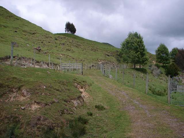 1742 Taringamotu Road Taringamotu_4