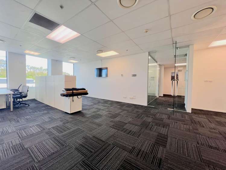 18 Normanby Road Mt Eden_6