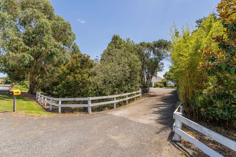 1629 SH 25, Manaia Road Coromandel_19