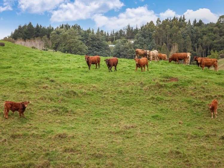 49 Gelling Road Ararimu_14