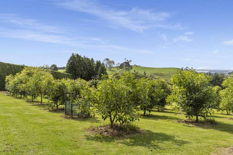 51 Sinclair Road Whakamarama_30