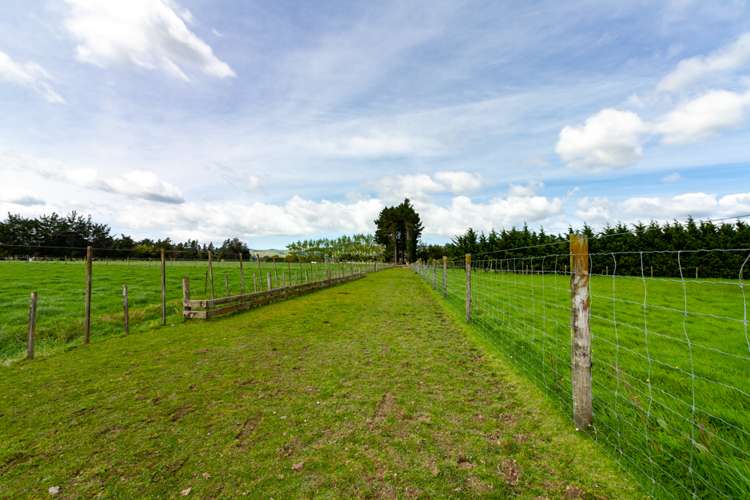 126 Whitmore Road Linton_17