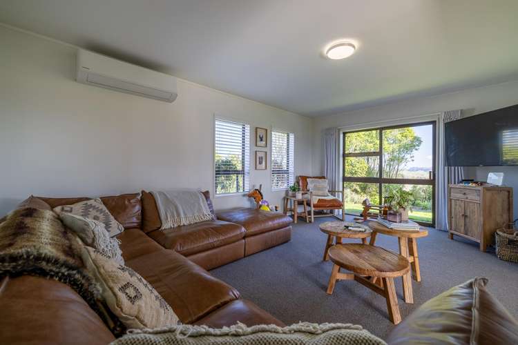 485 Chapman Road Pukekawa_5