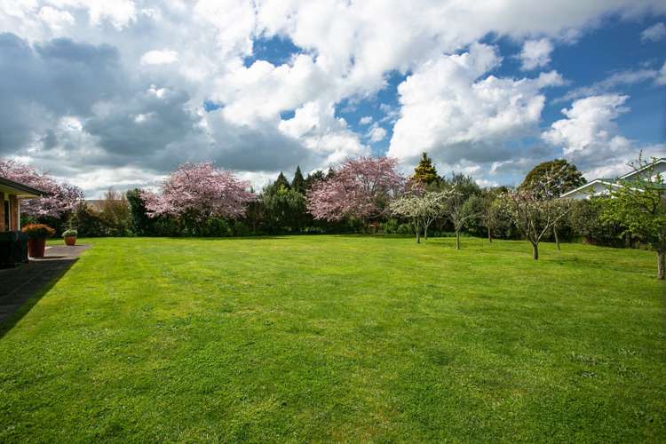 4/102 Herbert Street Kihikihi_19