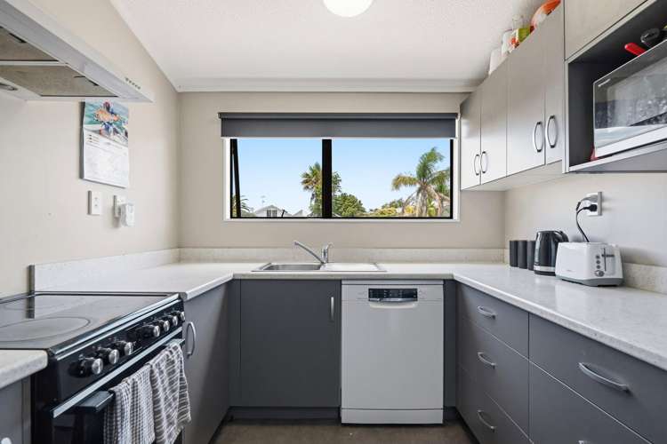 88 Eversham Road Mt Maunganui_1