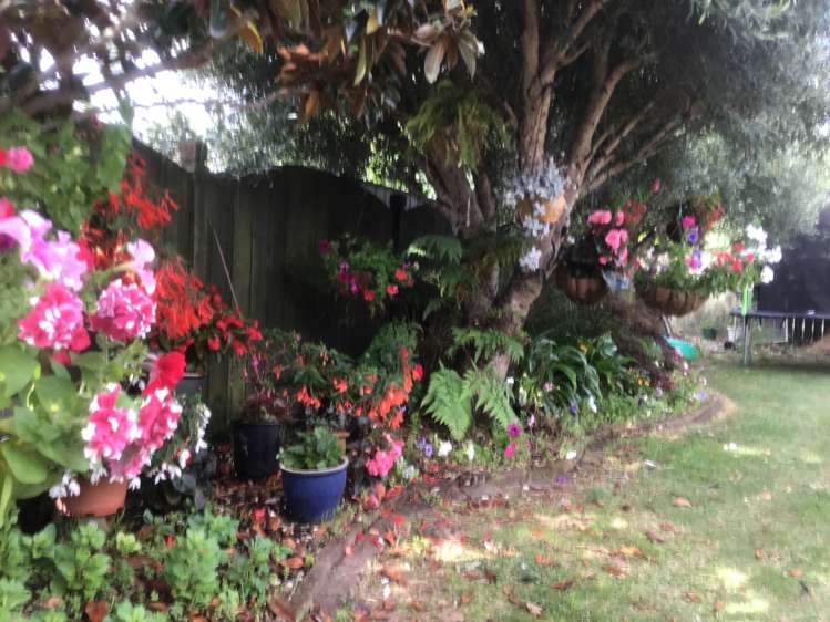 30 Lothian Brae Wattle Downs_25