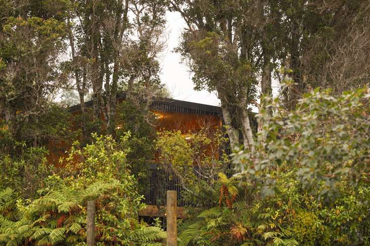1 Traill Road Stewart Island_20