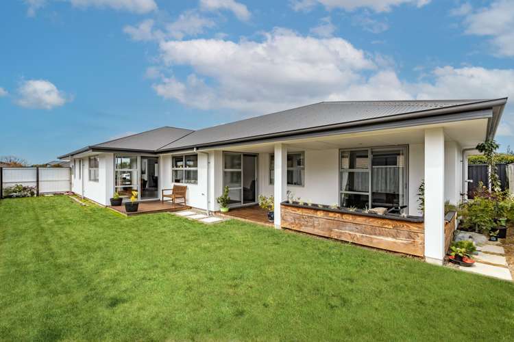 9 Murfitt Street Pegasus_23