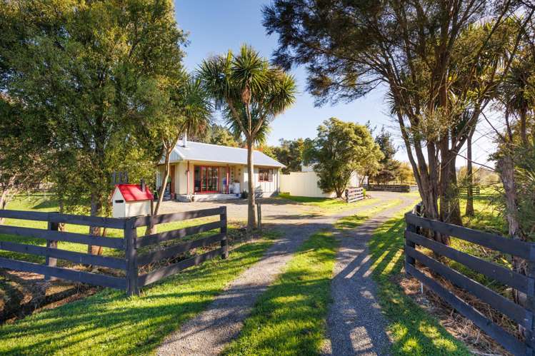 116 North Street Ashhurst_6