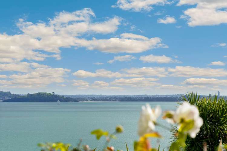 59 Cliff Road Saint Heliers_5