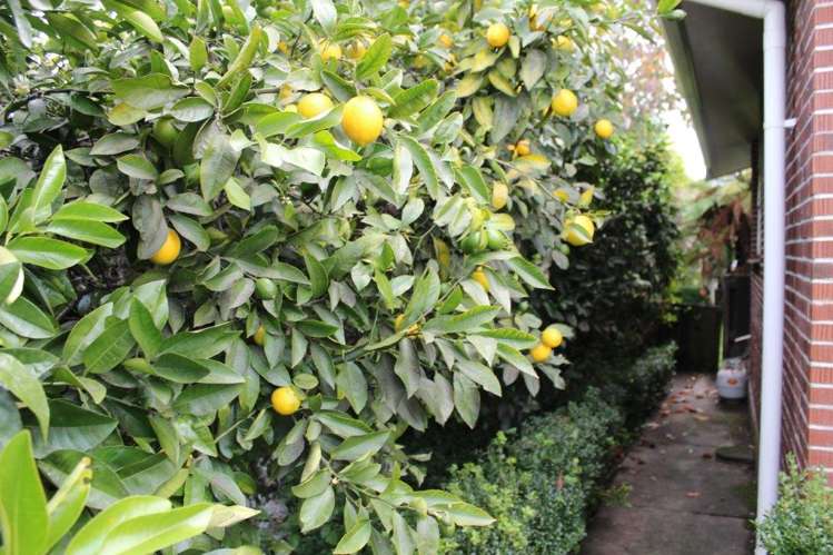 92 Commercial Street Takaka_15