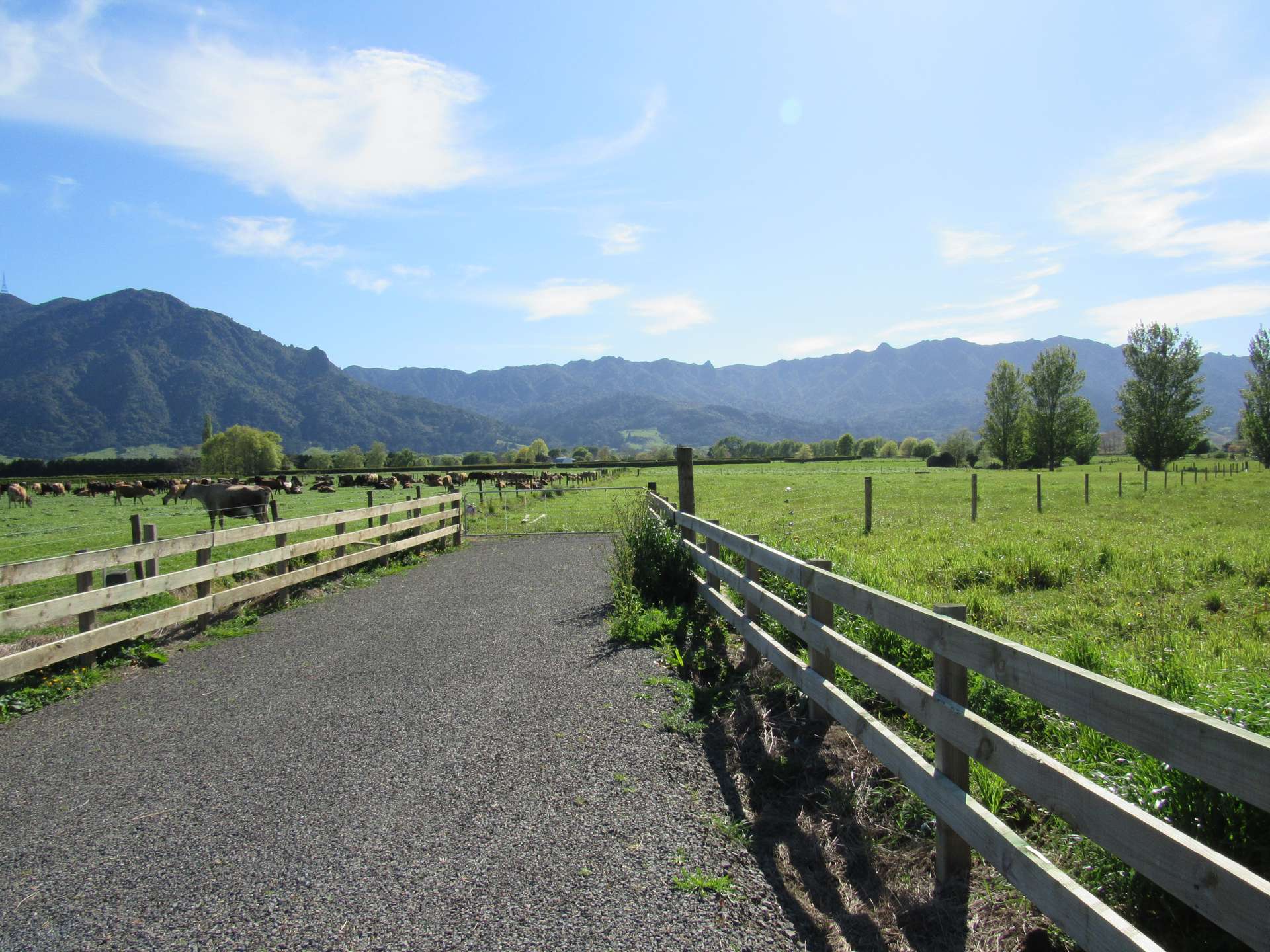 Stanley Road South Te Aroha West_0