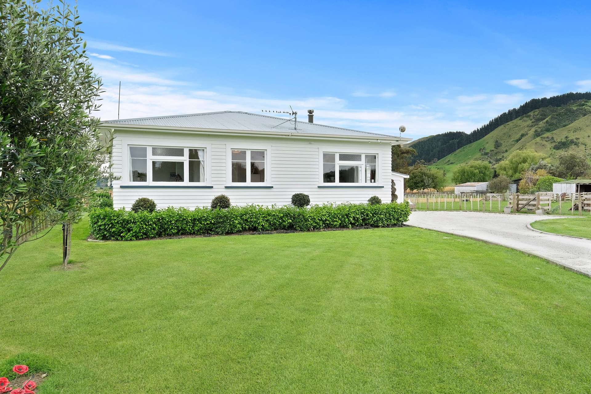 53 Glenelg Road Makauri_0
