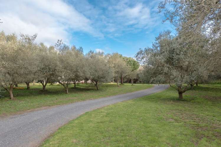 281 Bell Road Morrinsville_19