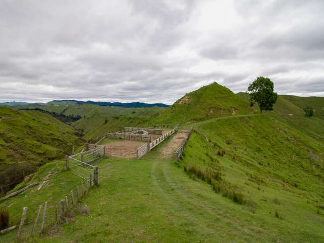 Parihauhau Road Parikino_3