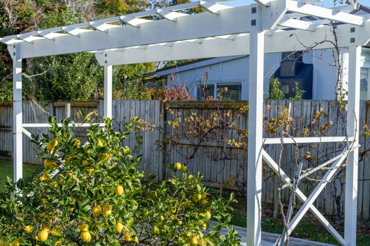 9 Nikau Road Oneroa_43