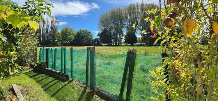 21 Francis Drake Street Waipukurau and Surrounds_16