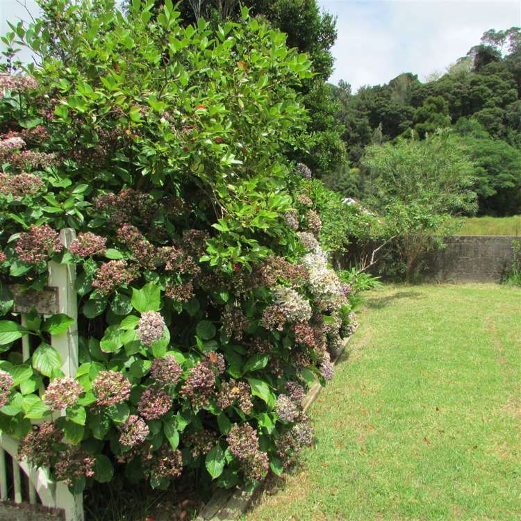 303 Totara North Road Kaeo_12