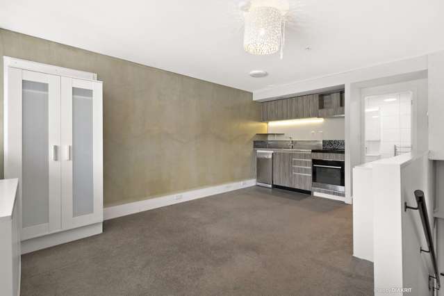 4 and 5/309 Willis St Te Aro_1