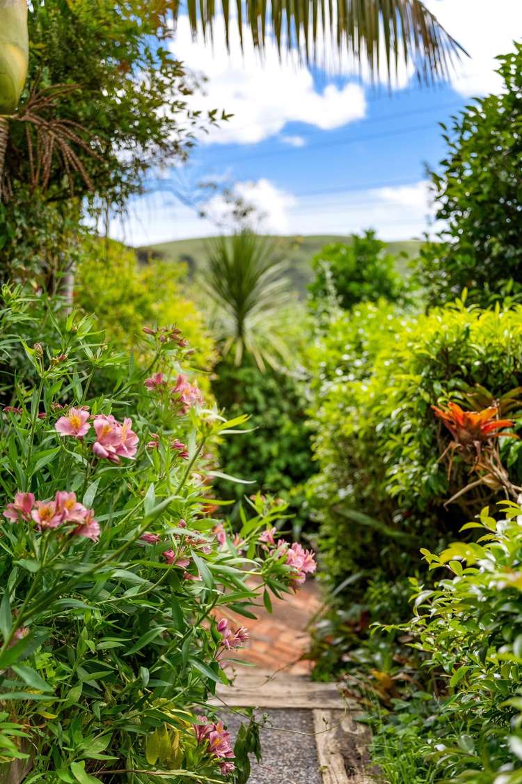 172 Bethells Road Bethells Beach_19