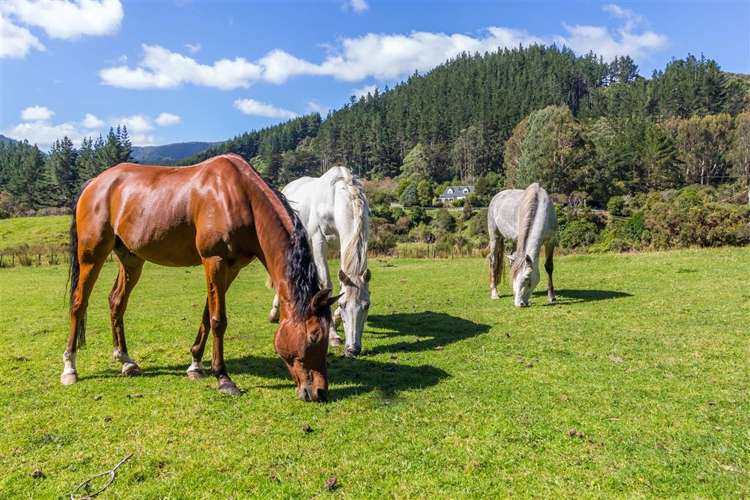 2013 Akatarawa Road Akatarawa Valley_8