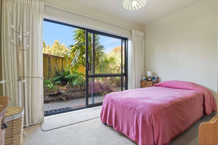 81 Springfield Road Springfield_5