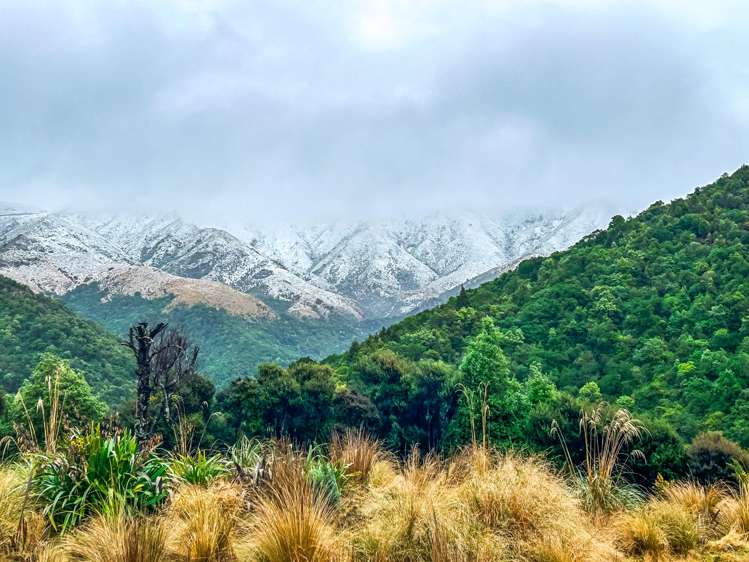 439 Engelbrechts Road Hunter_59