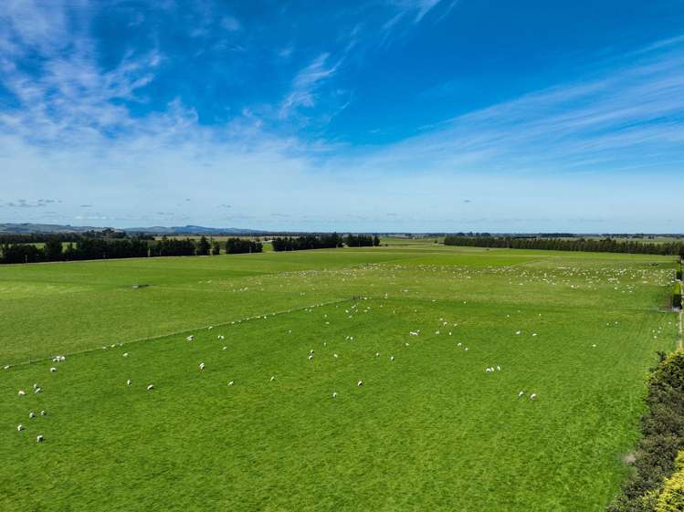 372 Looney Road South Hillend_10