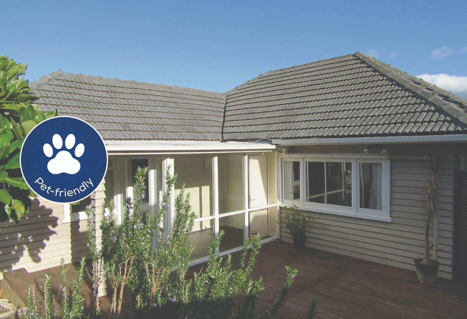 81 Carlton Street Hillsborough_0