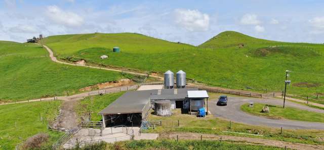 782 Mangare Road Wharepapa South_4